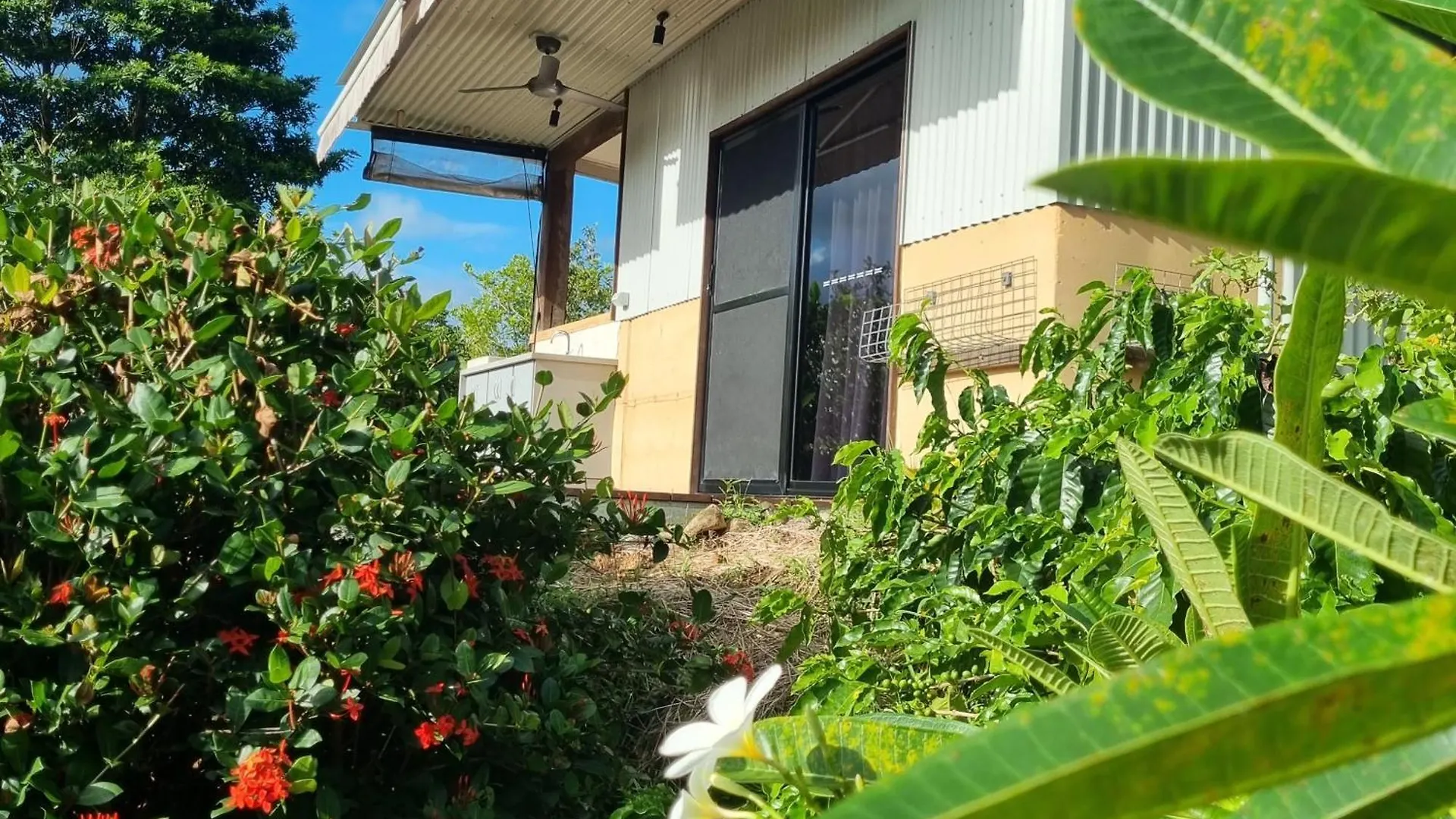 Wompoo Eco Retreat Bed & Breakfast Cow Bay